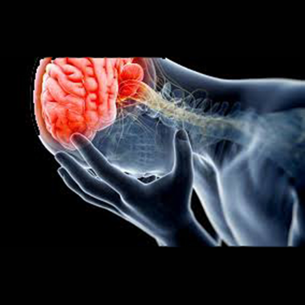 Brain Injury Animation